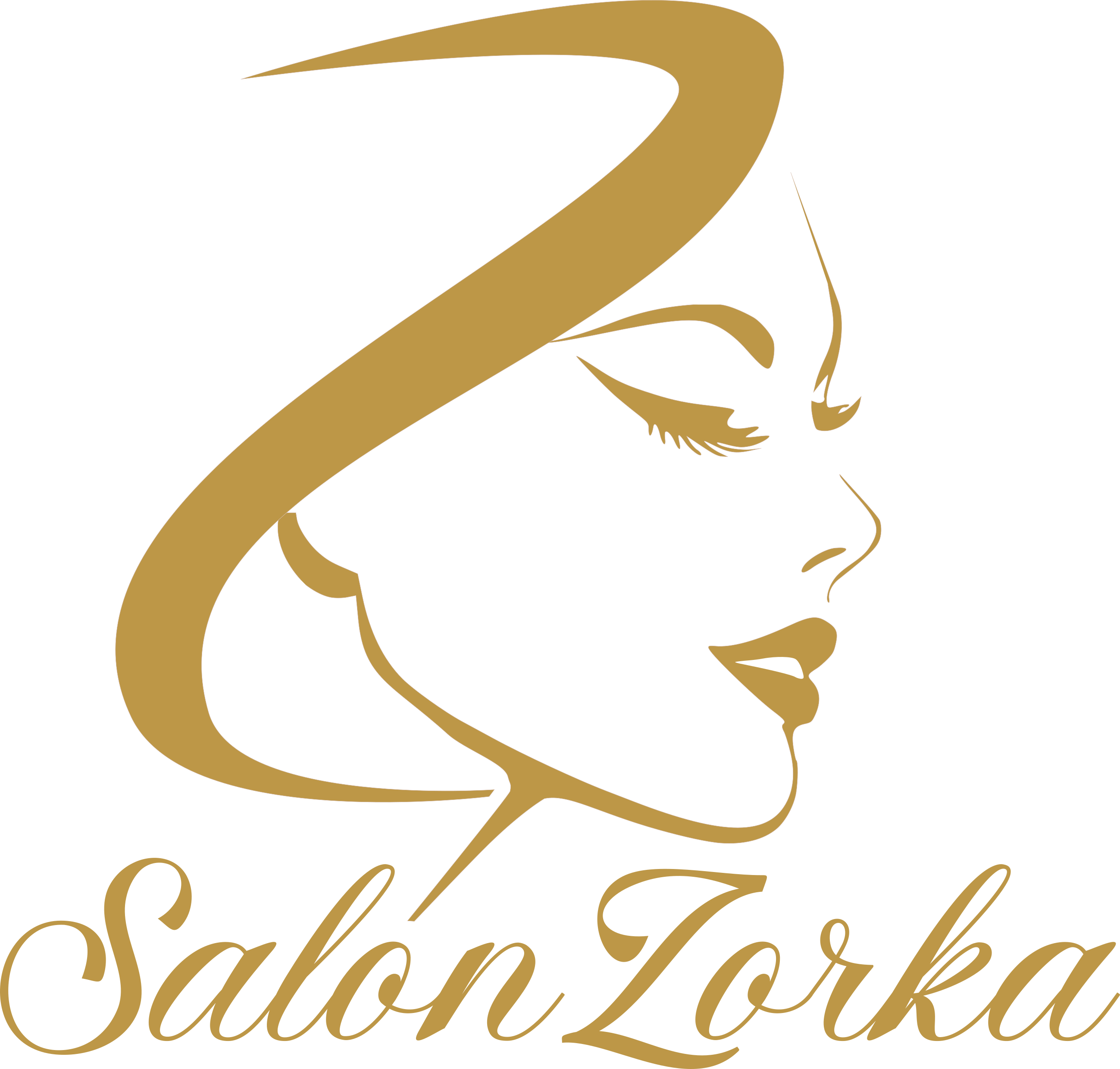 www.salonzorka.cz